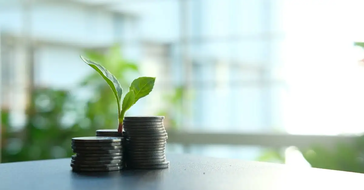 Finanzierung für den Mittelstand: Lösungen und Optionen
